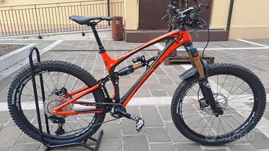 pedroni Lupo kashima