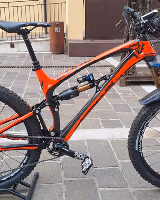 pedroni Lupo kashima