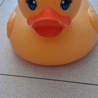 papera in gomma morbida 