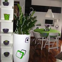 Elegante bilocale mare