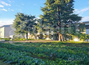 Capannone Industriale Botticino [CP033LVCG]