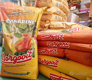 Miscele, mangimi Borgovit canarini pappagalli