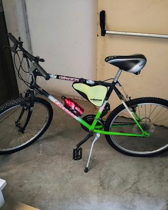 Bicicletta Carraro 454 Grizzly