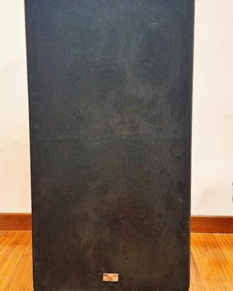 Diffusori Hi-Fi ESB 100 LD