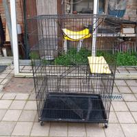 Gabbia per gatti