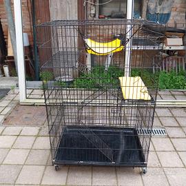 Gabbia per gatti