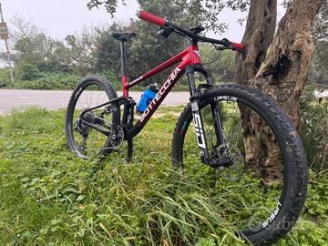 Bottecchia gardena 29 factory team M 2025