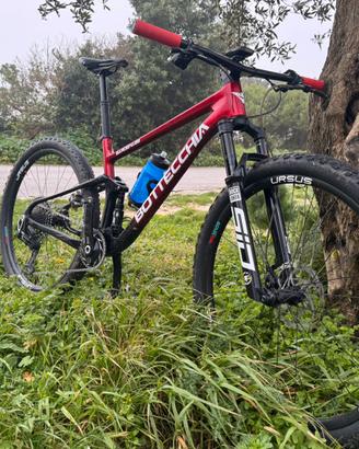Bottecchia gardena 29 factory team M 2025