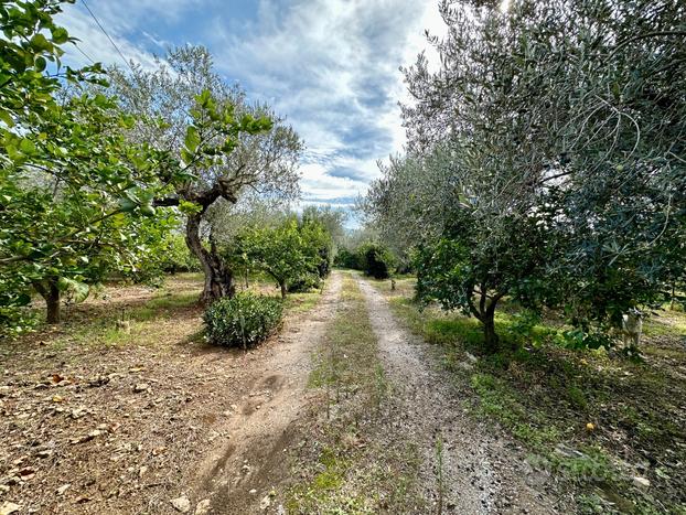 Terreno con magazzino a Partinico, Cda Principe