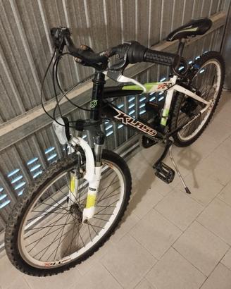 Bicicletta