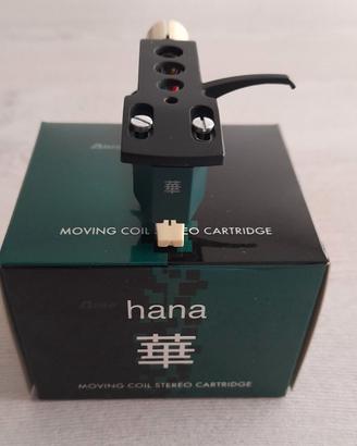 Testina Hana