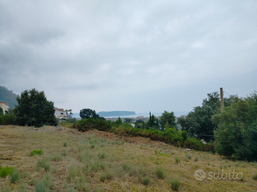 Terreno edificabile, ben servito, 1600 mq