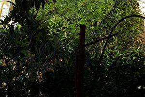 Stabile con 2 appartamenti indip - CUMIA INFERIORE