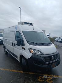 Iveco fiat ducato anno 2021 frigo e.6