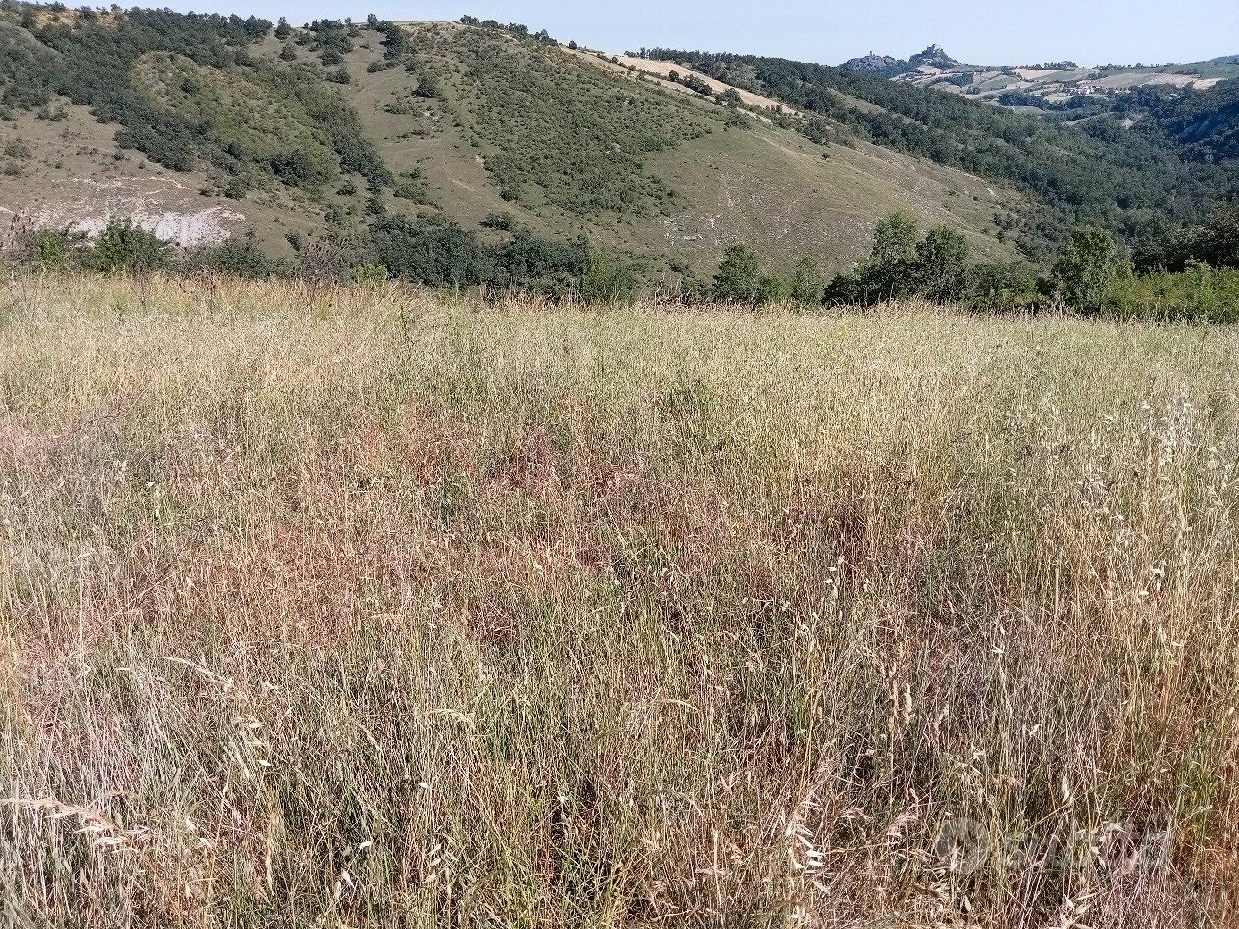 Rustico con terreno - Vista 4