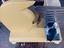 Immagine 6