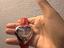 Immagine 3