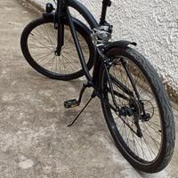 Bicicletta Cruiser