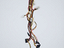 Immagine 4