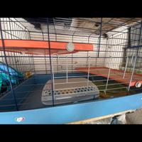 gabbia IMAC per coniglio