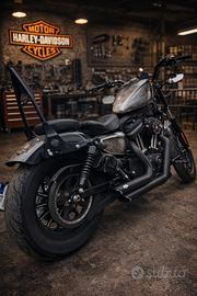 Splendida Harley Davidson 883 iron