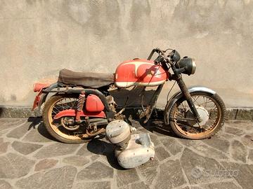 MV Agusta Altro modello - Anni 60