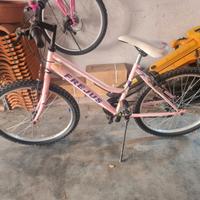bicicletta donna 24