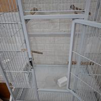 Gabbia Uccelli con carrellino