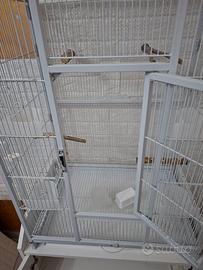 Gabbia Uccelli con carrellino