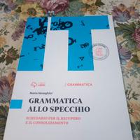 libro di testo, grammatica allo specchio