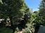 Immagine 29