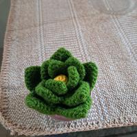 soprammobile succulenta uncinetto