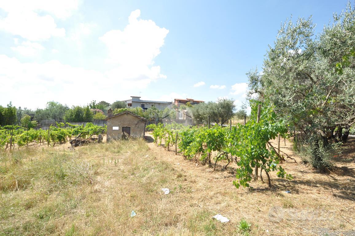 RUSTICO A ROMA - Vista 2