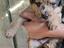 Immagine 3