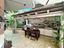 Immagine 11