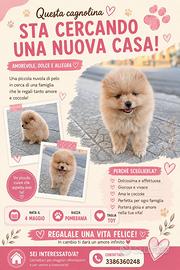 Cane di razza