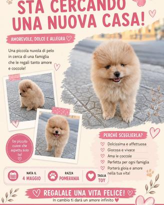 Cane di razza