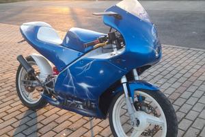 Derbi 50 gpr replica 2003