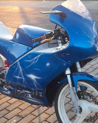 Derbi 50 gpr replica 2003