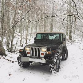 Jeep Wrangler 02/1996 4.0 high output limited