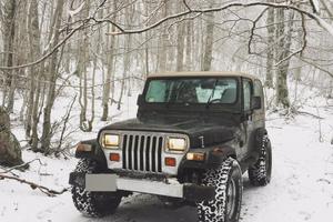 Jeep Wrangler 02/1996 4.0 high output limited