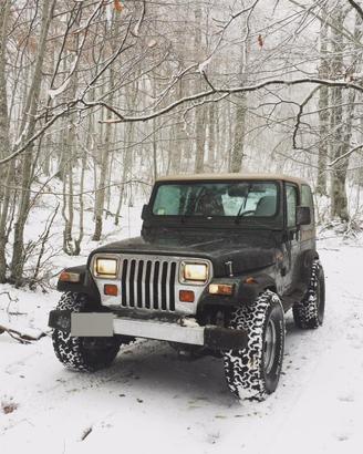 Jeep Wrangler 02/1996 4.0 high output limited