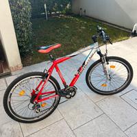 Mountain bike