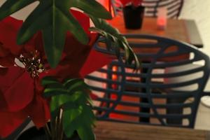 Curatissimo locale in centro di cava