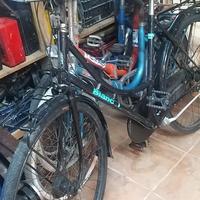 grazzielle e bicicletta da donna bianchi 