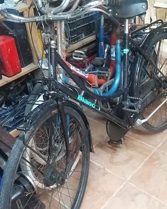 grazzielle e bicicletta da donna bianchi 