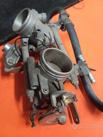 Corpi farfallati ducati