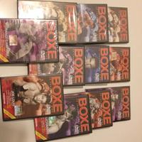 BOXE, la legenda del ring