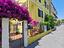 Immagine 6