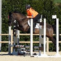 Pony sportivo 9 anni classe C